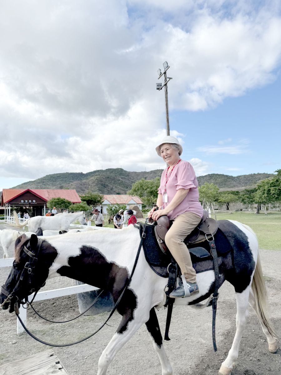與動物近距離接觸，騎馬與餵食體驗。