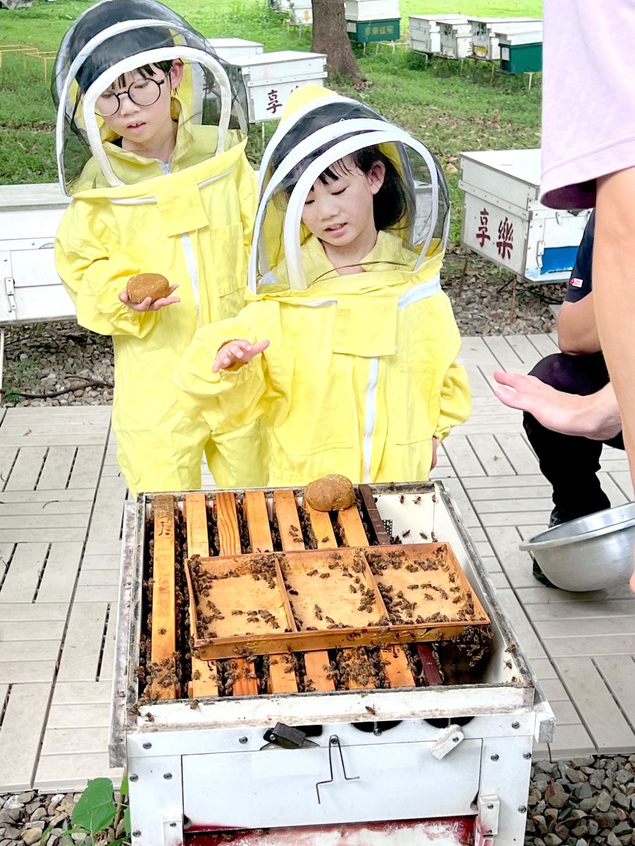挑戰當一日小蜂農，將蜂糧放入蜂箱中。
