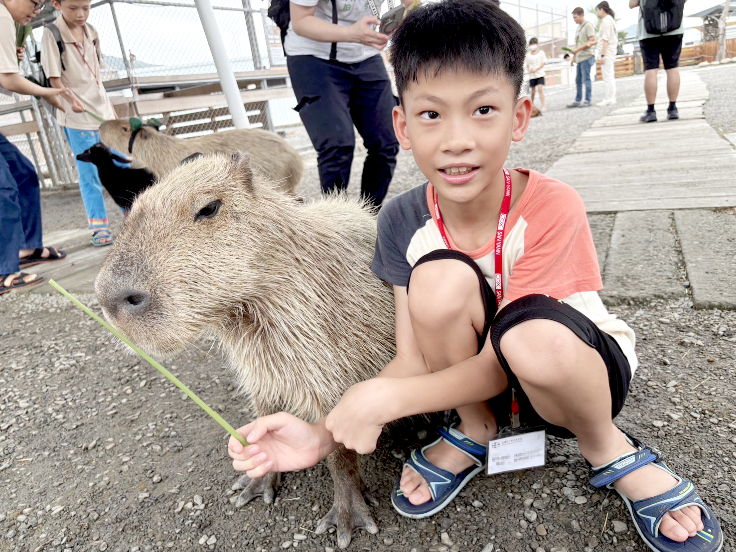 溫馴可愛的動物讓視障孩子們愛不釋手。