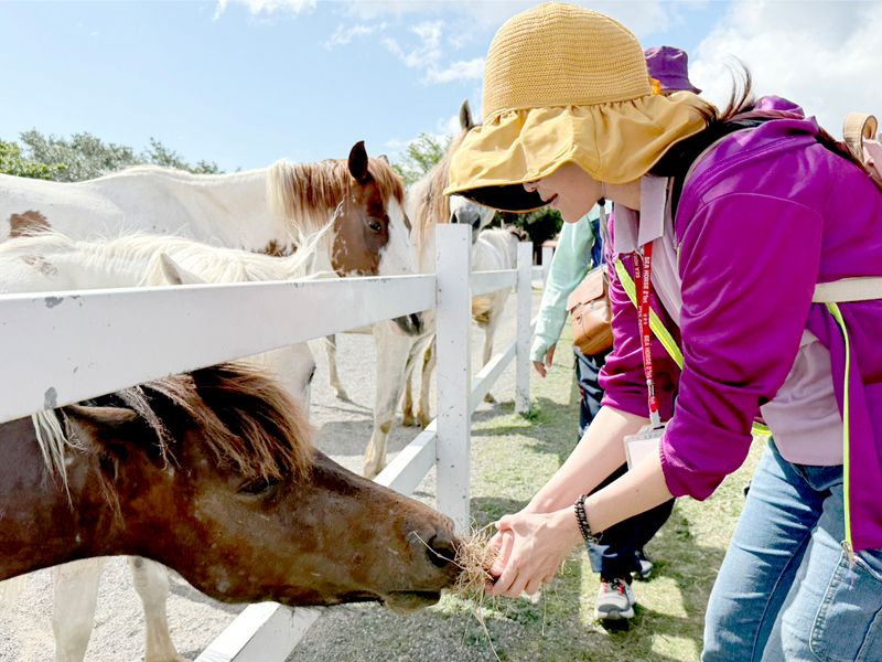 2025-12 (心交流)南區屏東四重溪一日遊 探索東源部落的自然魅力 與悠客馬場的原鄉風情封面圖