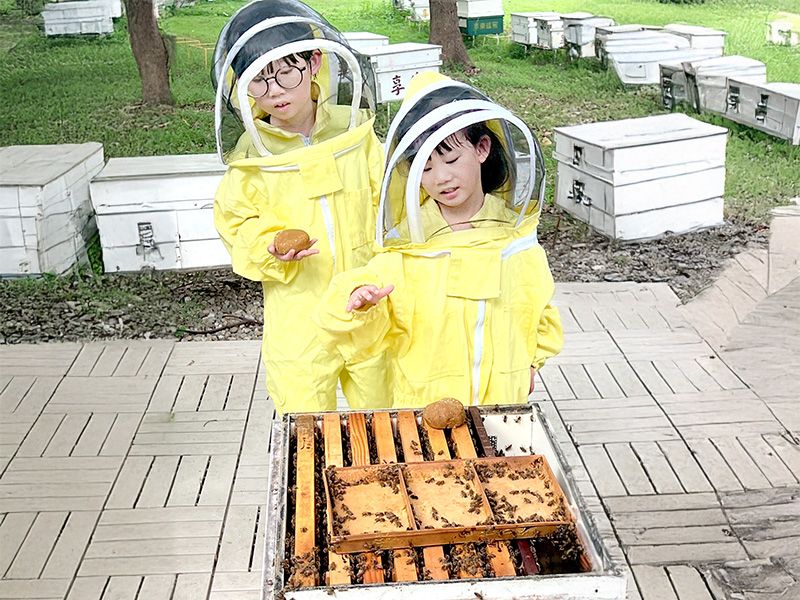 2026-09  (心交流)中區 FUN暑假來趣桃 兩天一夜親子遊封面圖