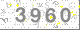 驗證碼圖片